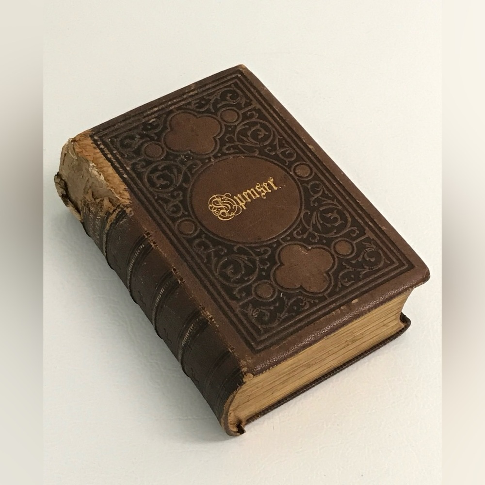 Antique Brown Embossed Book